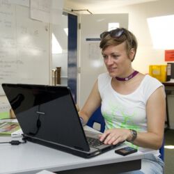 Hier eine alternative Textbeschreibung