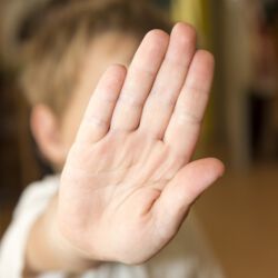 Hier eine alternative Textbeschreibung