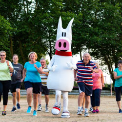 Hier eine alternative Textbeschreibung