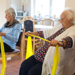 Hier eine alternative Textbeschreibung