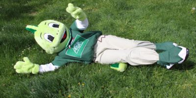 Mein alternativer Text 12